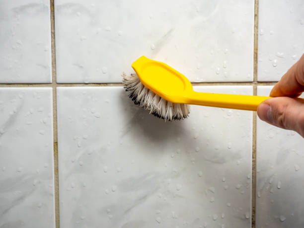 Best Kitchen Mold Remediation in Gibsonburg, OH