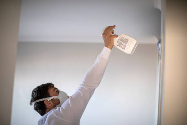 Best Insurance-Related Mold Remediation in Gibsonburg, OH