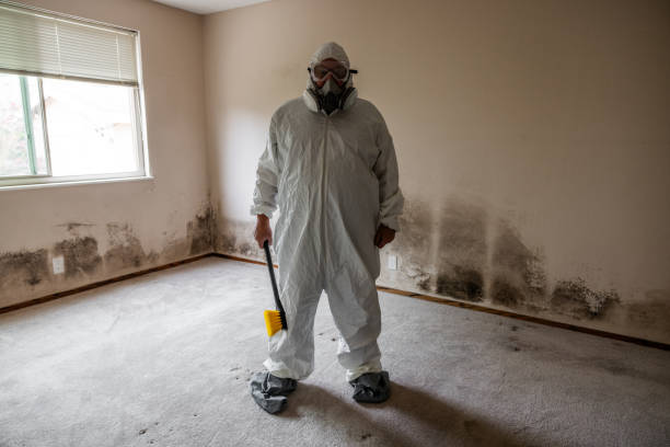 Best HVAC Mold Remediation in Gibsonburg, OH